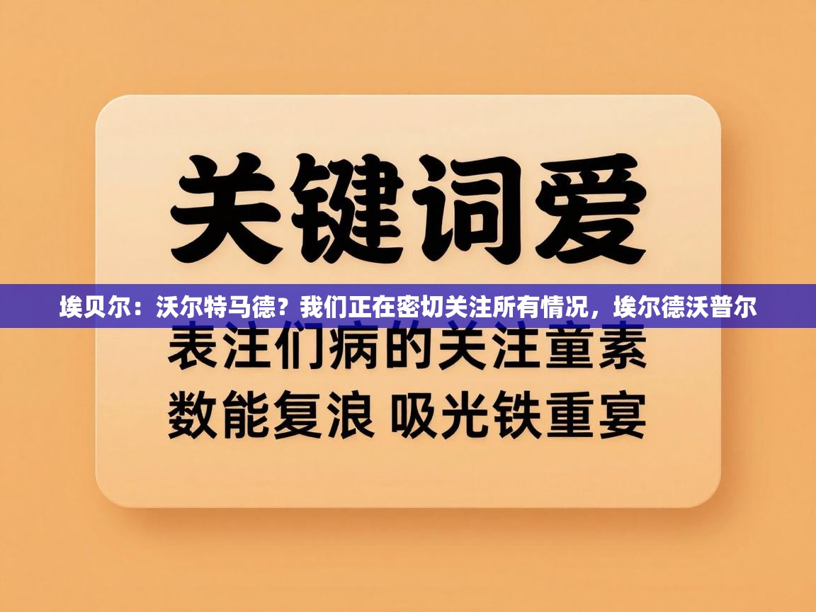 埃贝尔：沃尔特马德？我们正在密切关注所有情况，埃尔德沃普尔  第2张