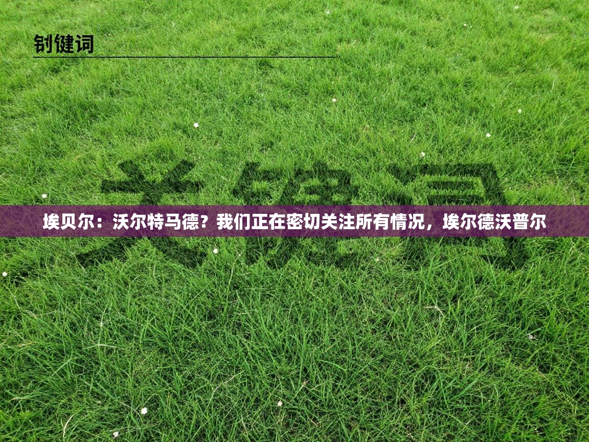 埃贝尔：沃尔特马德？我们正在密切关注所有情况，埃尔德沃普尔  第1张