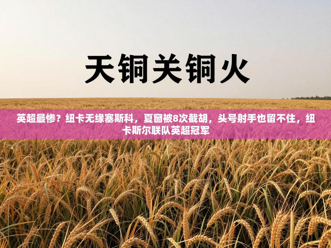 英超最惨?纽卡无缘塞斯科,夏窗被8次截胡,头号射手也留不住,纽卡斯尔联队英超冠军 第1张