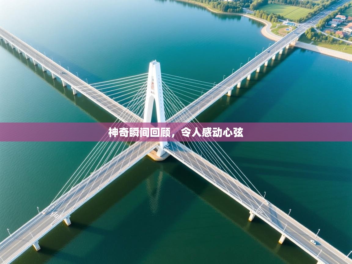 神奇瞬间回顾,令人感动心弦 第1张