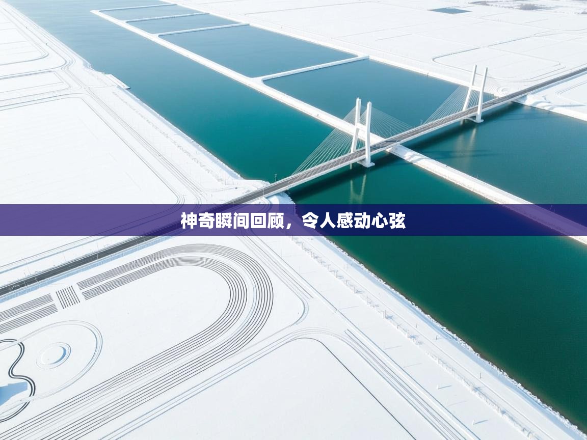 神奇瞬间回顾,令人感动心弦 第2张