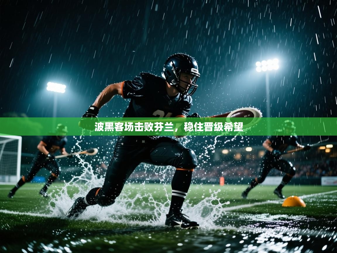 波黑客场击败芬兰，稳住晋级希望  第1张
