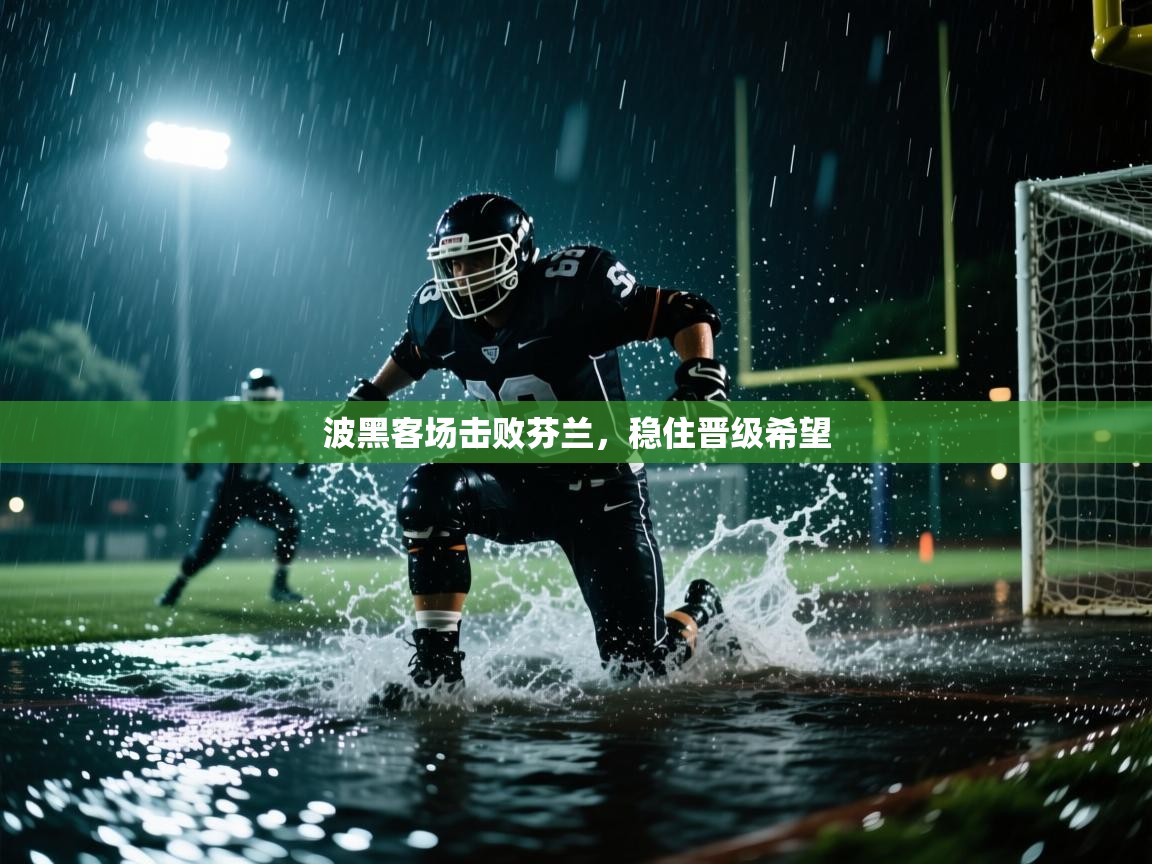 波黑客场击败芬兰，稳住晋级希望  第2张