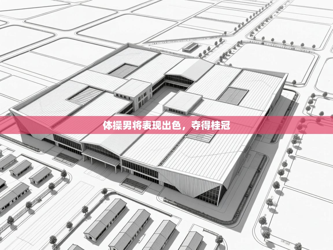 体操男将表现出色，夺得桂冠  第1张