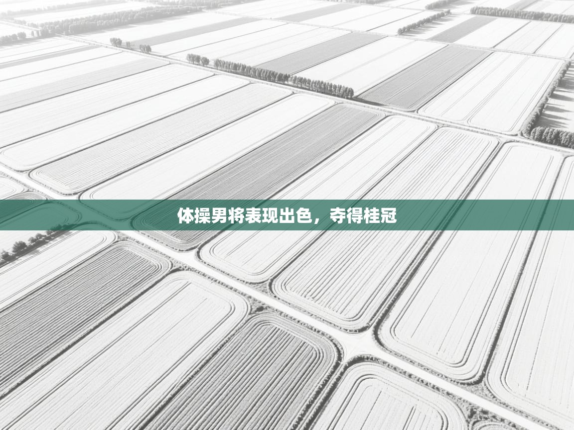 体操男将表现出色，夺得桂冠  第2张