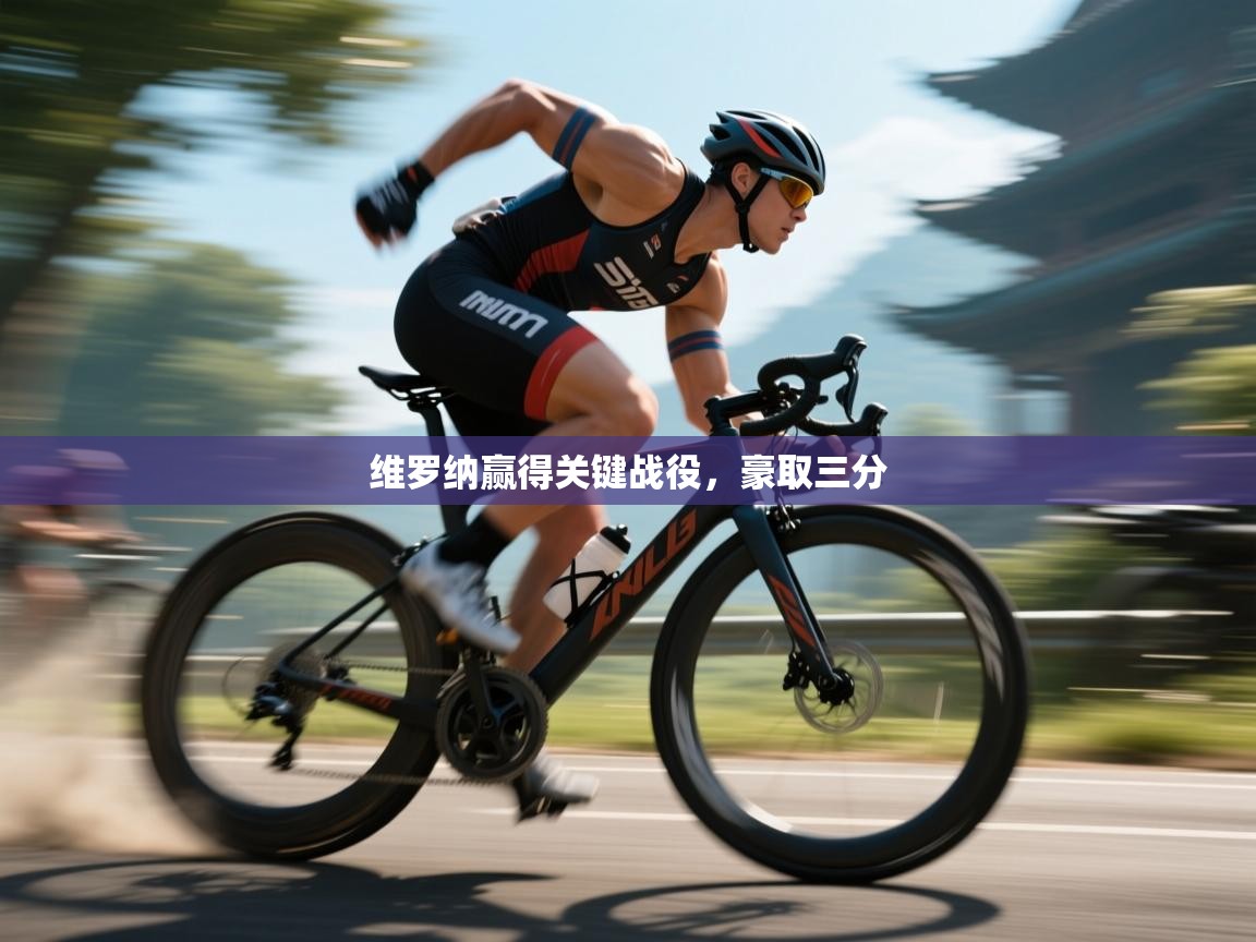 维罗纳赢得关键战役，豪取三分  第1张