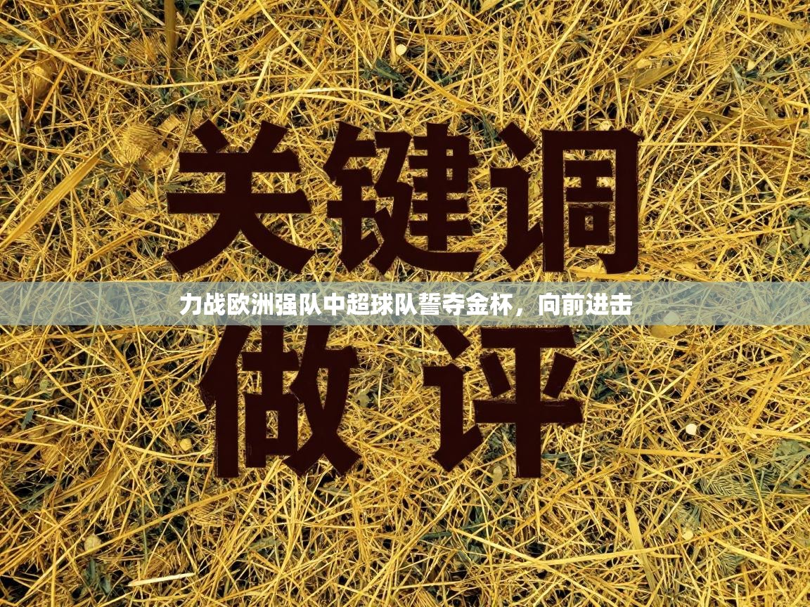 力战欧洲强队中超球队誓夺金杯，向前进击  第1张