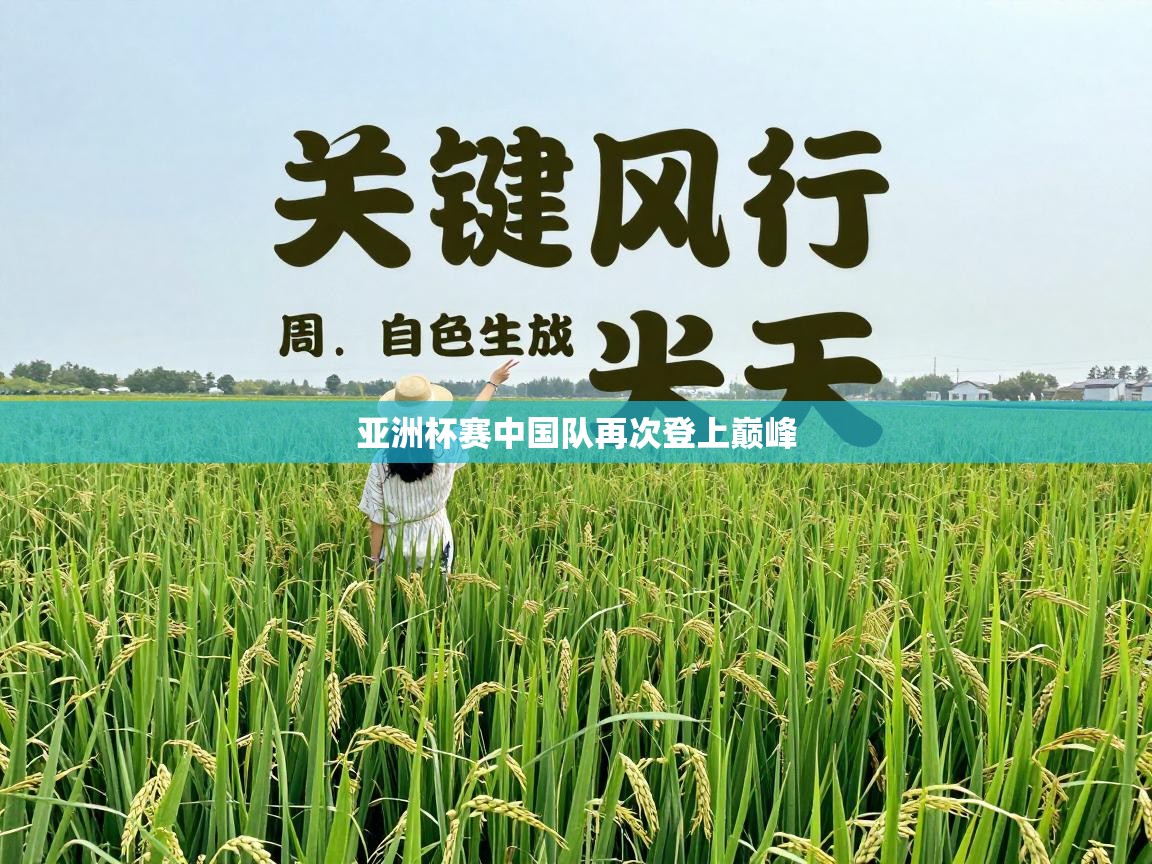 亚洲杯赛中国队再次登上巅峰