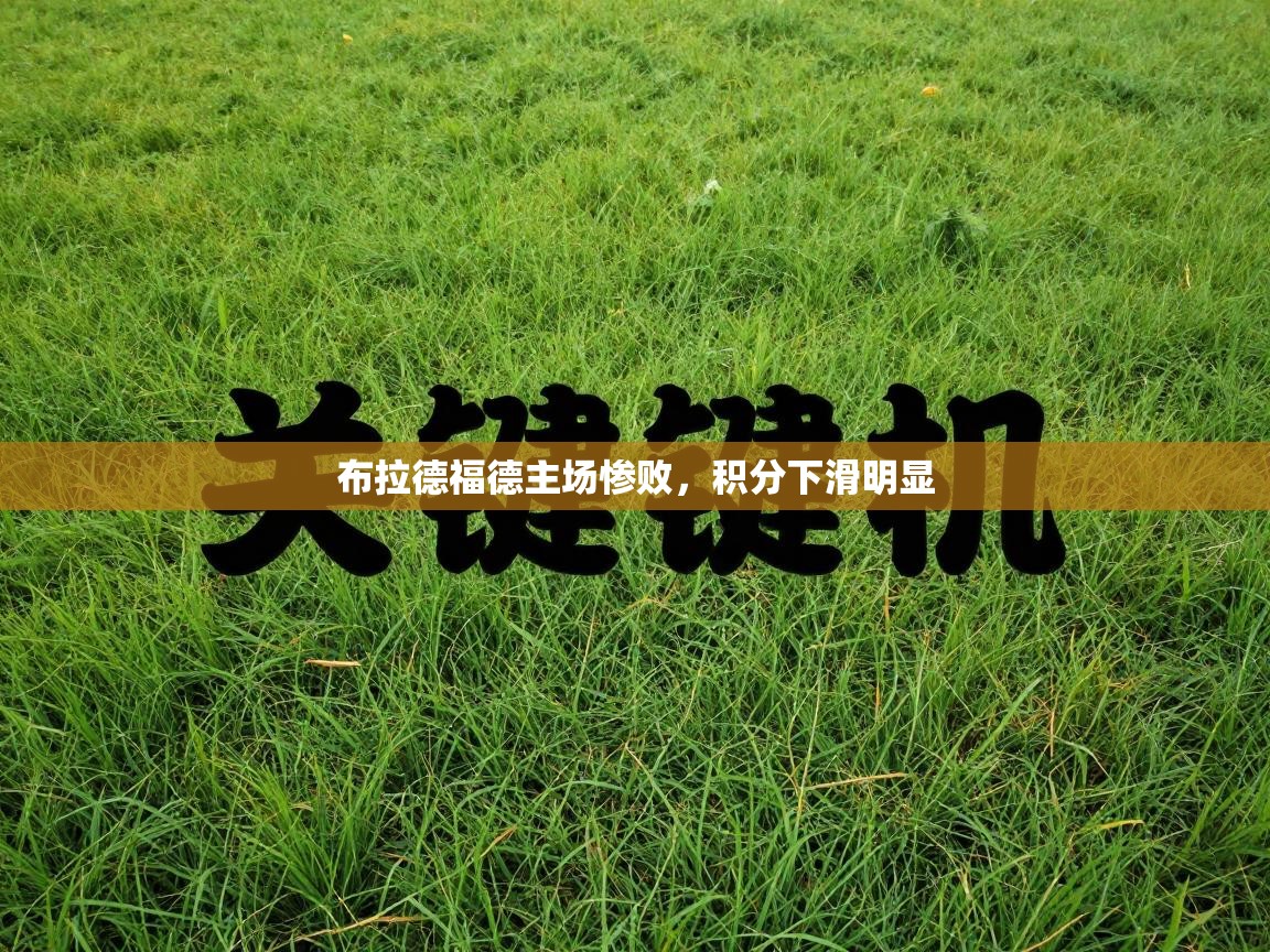 布拉德福德主场惨败,积分下滑明显 第2张